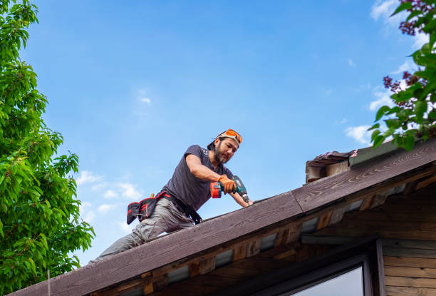Best Emergency Roof Repair Services  in Bellevue, IA