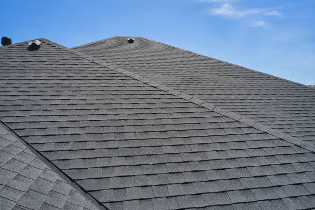 Best Roof Insulation Installation  in Bellevue, IA